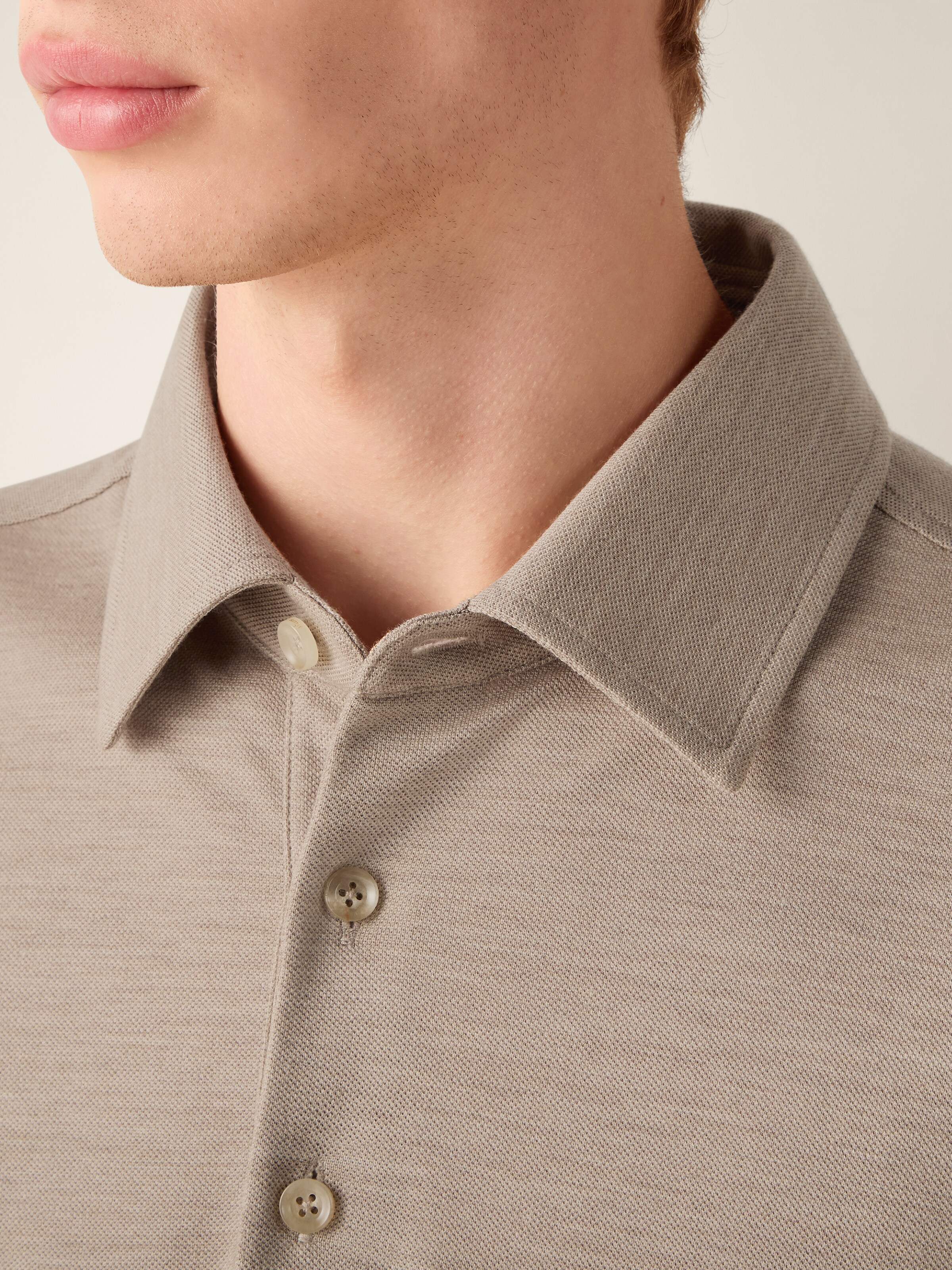 Light Taupe Vellus Aureum Polo Shirt — alternate view